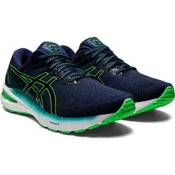 Asics Gt-2000 10 Trailrunningschuhe